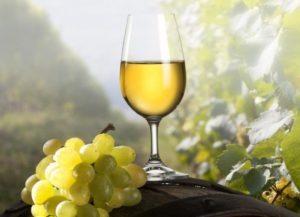 cropped-cropped-Chardonnay-Grapes-1.jpg